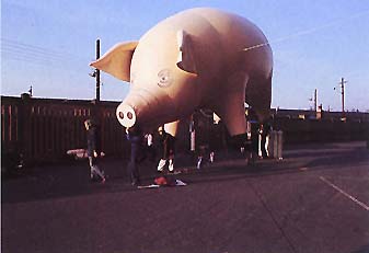 Pink Floyd - Pigs On The Wing
