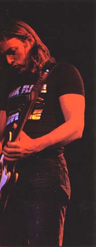 David Gilmour
