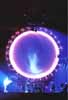 A Momentary Lapse of Reason Concert