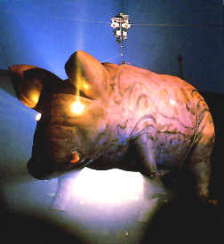 Pink Pig