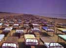 Beds on Beach