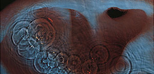 Album Back and Front