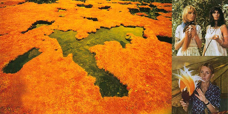 Obscured By Clouds Re-package artwork