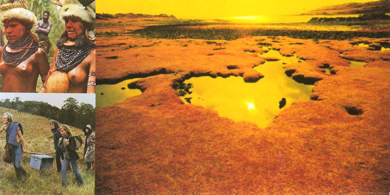 Obscured By Clouds Re-package artwork