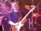 David Gilmour performing Comfortably Numb