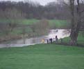 Grantchester Meadows